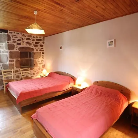 Maison De Charme Renovee Avec Jardin, Proche Du Lot Et Des Monts Du Cantal, Ideale Pour Activites Nature - Fr-1-742-72 Parlan